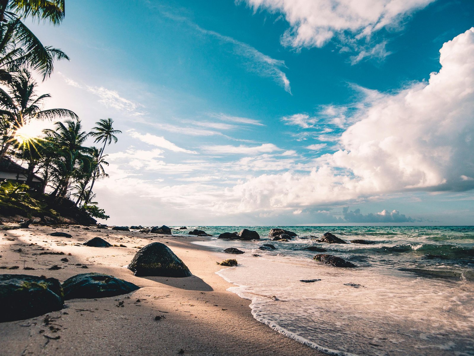 Discover Homestays Surrounded by Nature