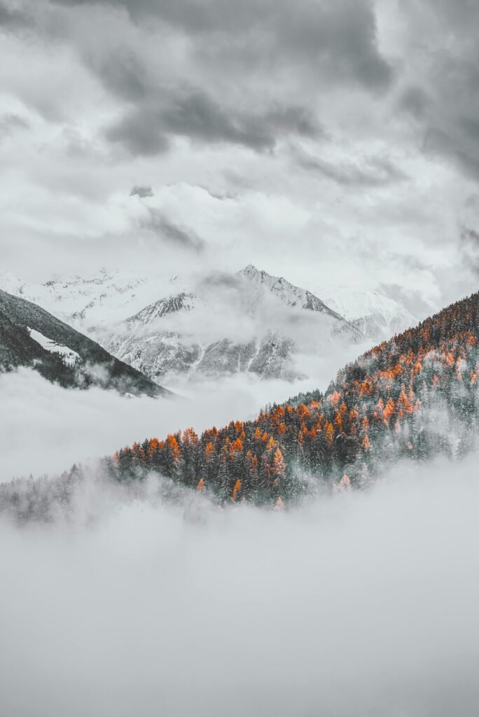 Natureghumo